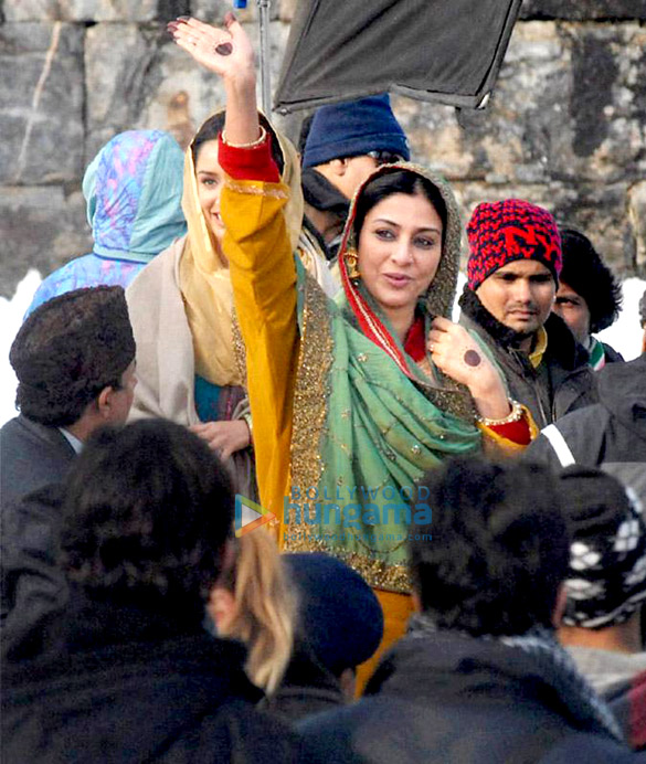 haider 7
