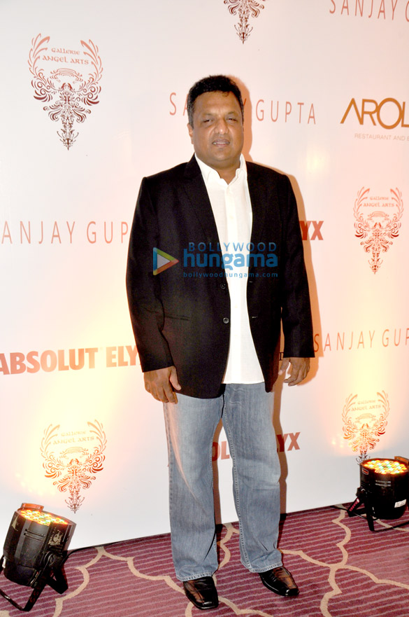 absolut elyx party hosted by sanjay gupta 9