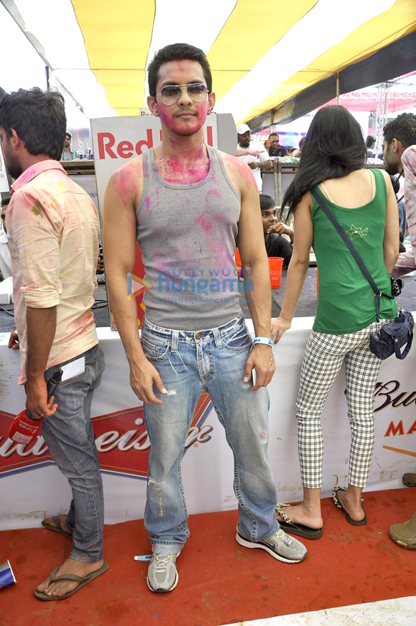 zoom holi party 2014 16