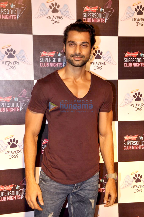 celebs at grace heavens dog restaurant launch 10