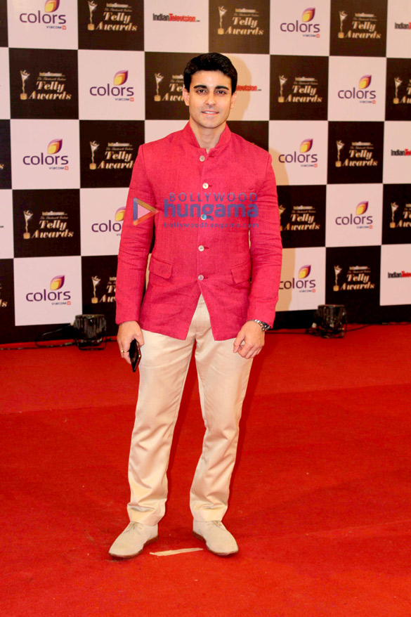 13th indian telly awards 2014 9