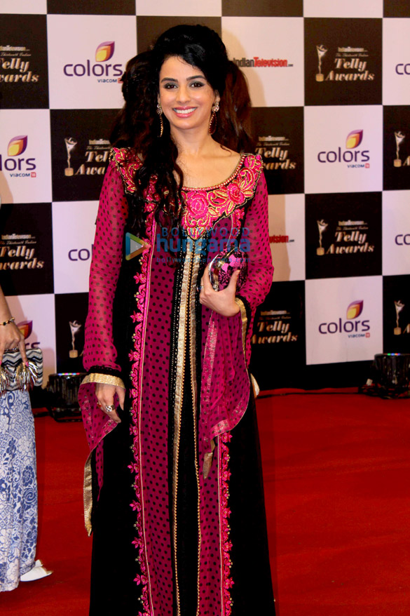 13th indian telly awards 2014 13