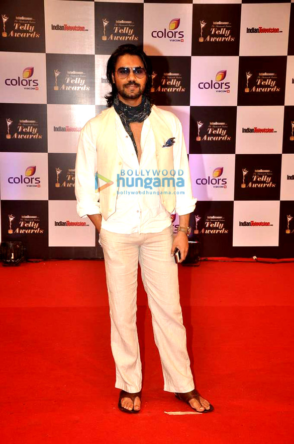 13th indian telly awards 2014 30