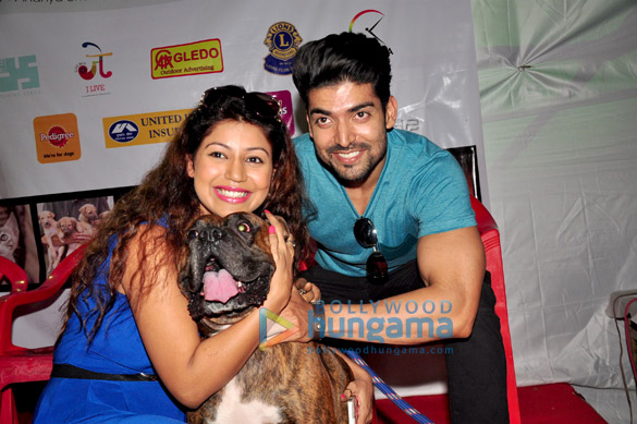 celebs lend support to adoptathon 2014 by wfa 5