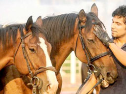 Randeep Hooda helps ailing horses in Matheran