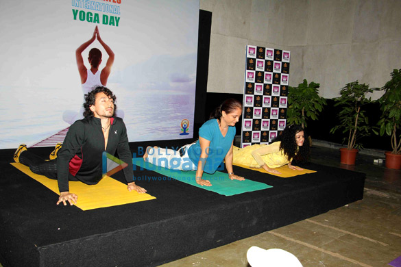 subhash tiger celebrate international yoga day 5