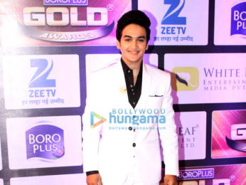 Malaika Arora Khan, Karan Singh Grover, Tusshar Kapoor, Gauhar Khan grace 'The 9th Zee Gold Star Awards'