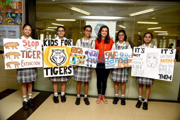 dia mirza unveils her directorial debut video for save tiger 2
