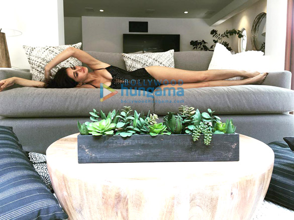 nargis fakhri1
