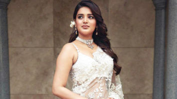 Celeb Wallpapers Of Nidhhi Agerwal