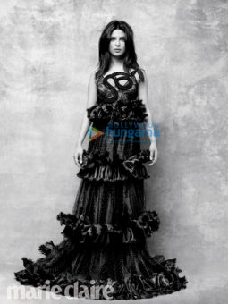 Celebrity Photo Of Priyanka Chopra
