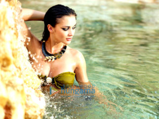 Celebrity Photo Of Amy Jackson