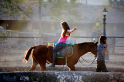 Movie Stills Of The Movie Mirzya