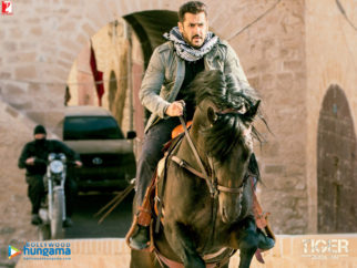 Movie Wallpapers Of The Movie Tiger Zinda Hai