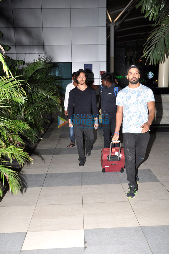 tiger returns back from varanasi 1
