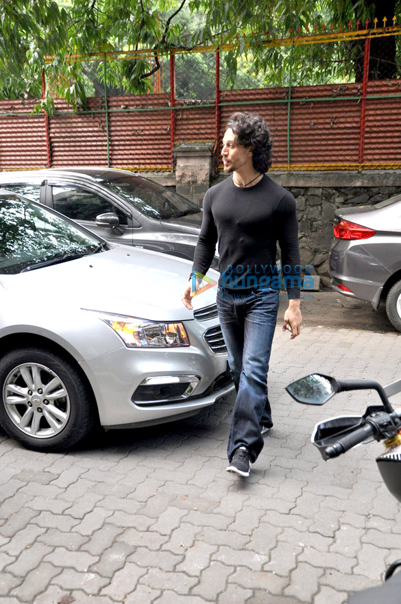 tiger snapped entering excel entertainment office 3