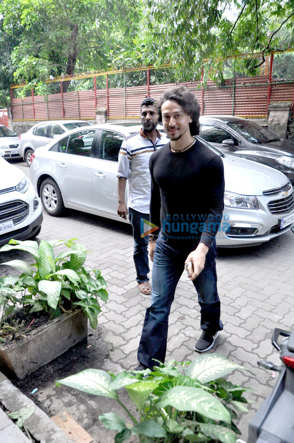tiger snapped entering excel entertainment office 4