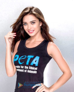 Celebrity Photos Of The Amy Jackson