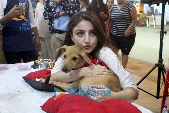 alia saif soha and kunal at adoptathon 2016 4