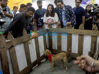 Alia Bhatt, Saif Ali Khan, Soha Ali Khan and Kunal Khemu at Adoptathon 2016