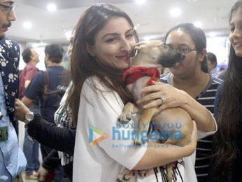 Alia Bhatt, Saif Ali Khan, Soha Ali Khan and Kunal Khemu at Adoptathon 2016