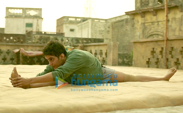 dangal 53