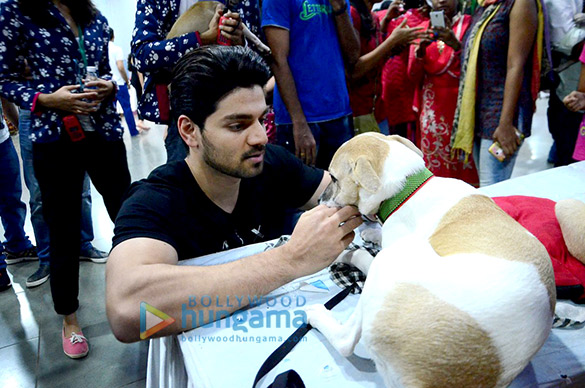 sooraj farah grace adoptathon 2016