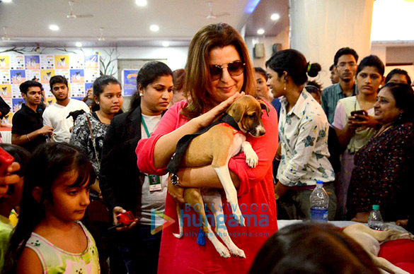 sooraj farah grace adoptathon 2016 2