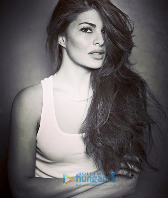 jacqueline fernandez 164