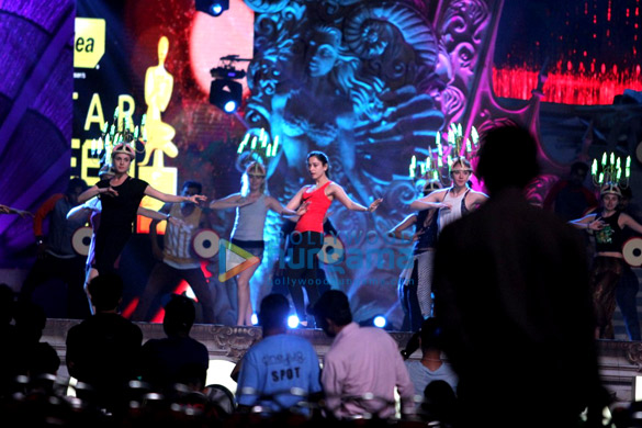 salman shah rukh tiger at star screen awards 5
