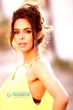 Celebrity Photo Of Mallika Sherawat