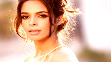 Celebrity Photo Of Mallika Sherawat