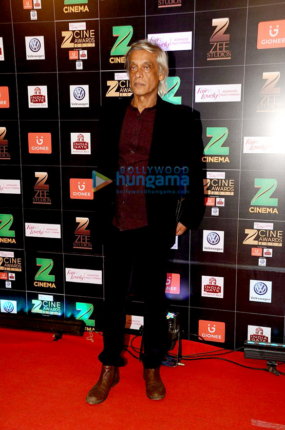 celebs grace zee cine awards 2017 40