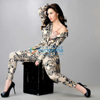 Celebrity Photo Of Lauren Gottlieb