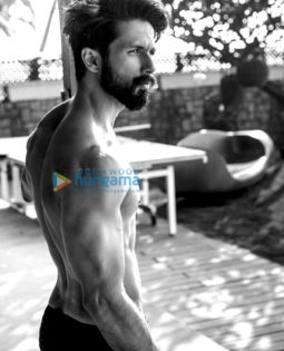 Celebrity Photos of Shahid Kapoor
