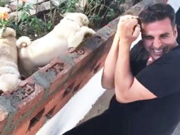 Watch: Akshay Kumar boxing with a bunch of pugs will make your day