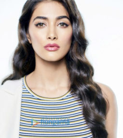 Celebrity Photo Of Pooja Hegde