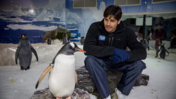 Check out: Sidharth Malhotra celebrates World Penguin Day with his bud and it is just adorable