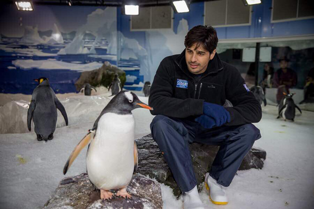 Sidharth Malhotra celebrates World Penguin Day with his bud and it is just adorable