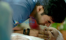 Movie Wallpapers Of The Movie Behen Hogi Teri