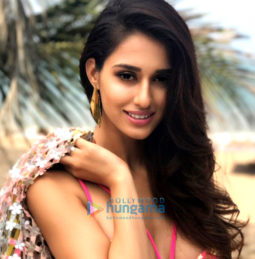 Celebrity Photo Of Disha Patani
