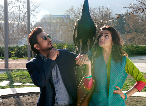 Hindi Medium (5)