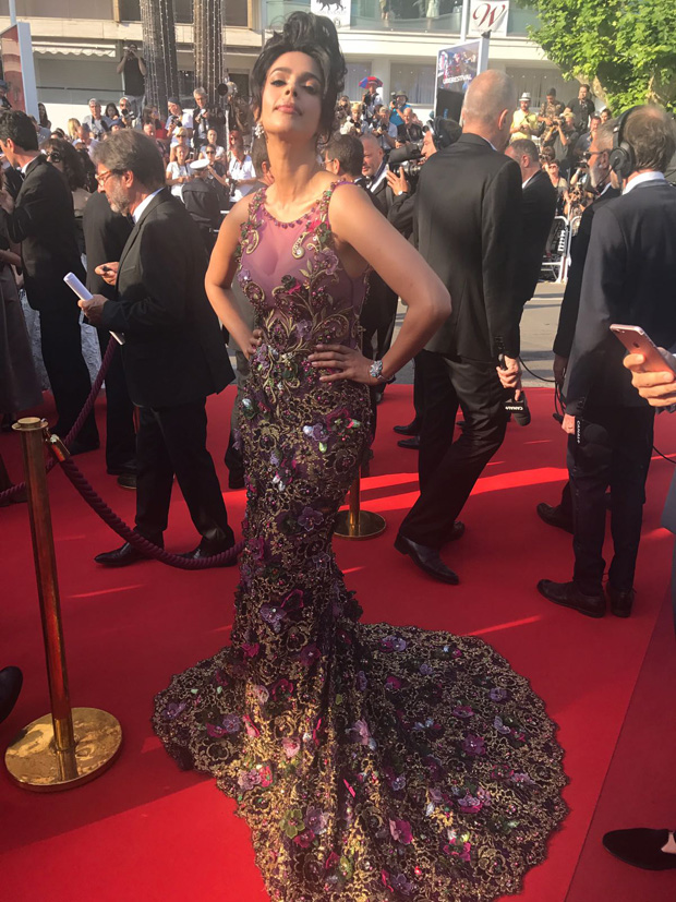 Mallika Sherawat sizzles in a beautiful gown at the Cannes 2017-1