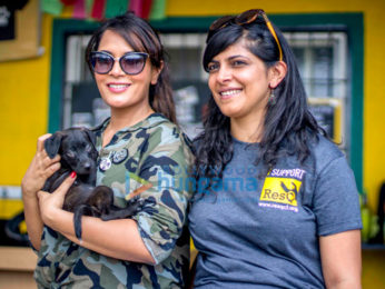 Richa Chadha spends the day at the ResQ Animals shelter
