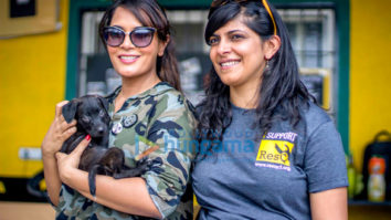 Richa Chadha spends the day at the ResQ Animals shelter