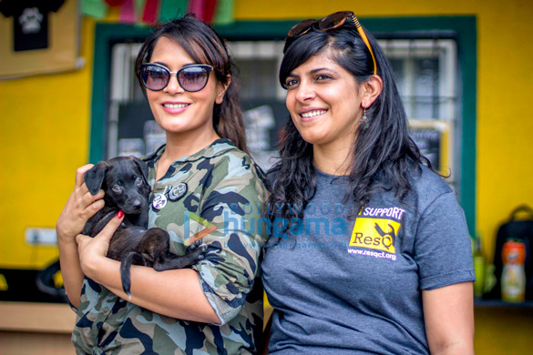 Richa Chadha spends the day at the ResQ Animals shelter Richa Chadha spends the day at the ResQ Animals shelter