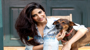 Celebrity Photos of Aahana Kumrah