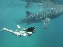 OMG! Katrina Kaif goes underwater to celebrate World Oceans Day!