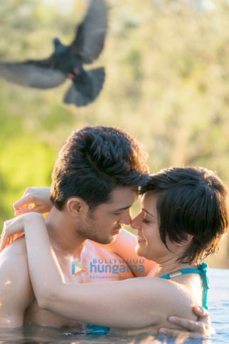 Movie Stills Of The Movie Shab