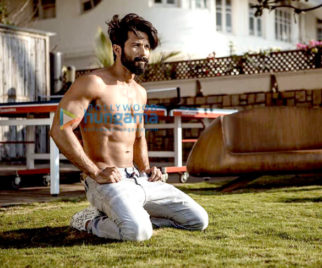 Celebrity Photos of Shahid Kapoor